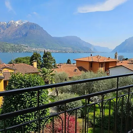 Is Your - Il E Tuo Oliveto Lario